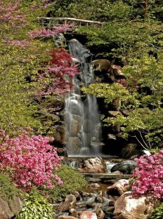 1186 Waterfall